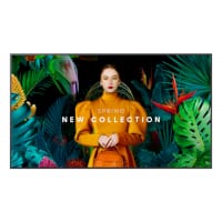 image for Window Displays