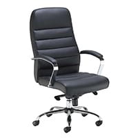 image for Ergonomic Posture Seating