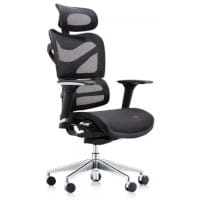 Posture Chairs