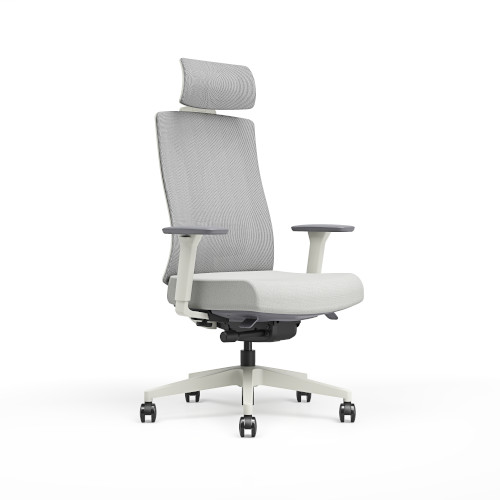 PostureX ergonomic office chair