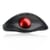 Adesso iMouse T30 - Wireless Programmable Ergonomic Trackball Mouse