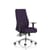 Onyx Bespoke Colour Without Headrest Tansy Purple