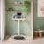 Leitz Ergo Active Balance Board