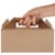 detailed-image-2