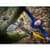 detailed-image-8