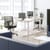 Zoom Electric Dual Motor Height Adjustable Sit Stand Office Desk Dual Purpose Reversible Scallop Top W1200xD800xH685-1185mm White Top White Frame 10 Year Warranty