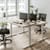 Zoom Electric Dual Motor Height Adjustable Sit Stand Office Desk Dual Purpose Reversible Scallop Top W1200xD800xH685-1185mm White Top White Frame 10 Year Warranty