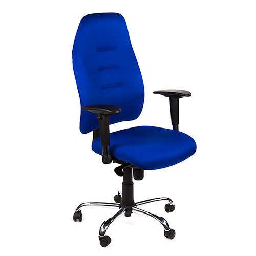 Posture Chair Blue