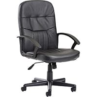 Cavalier High-Back Manager's Chair - Black Office Chair - Ergonomic Padding & Support