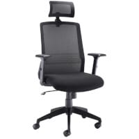 Denali High-Back Ergonomic Office Posture Chair - Black Mesh - Lumbar Support - Headrest