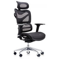 Dorsum Executive Ergonomic Mesh Office Chair with Headrest Black