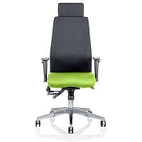 Onyx 24 Hour Posture Office Chair - High Back - Seat Slide - Adjustable Lumbar Support - Adjustable Arms - Headrest - Black Back - Swizzle Green Seat- Weight Tolerance 135kg