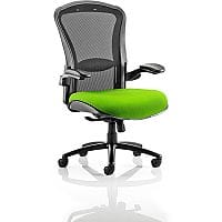 Houston 24 Hour Task Operator Office Chair - Heavy Duty - Adjustable Lumbar Support - Adjustable Arms - Extra Large Seat - Black Mesh Back - Swizzle Green Seat - Weight Tolerance 205kg