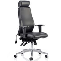 Onyx Ergo 24 Hour Posture Office Chair - Pump Up Lumbar Support - Seat Slide - Adjustable Arms - Headrest - Weight Tolerance 135kg - Black