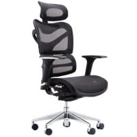 Dorsum Executive Ergonomic Mesh Posture Office Chair - Adjustable Headrest - Adjustable Lumbar Support - Modern Design - Black