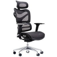 Dorsum Executive ergonomic mesh office chair with adjustable headrest in black
