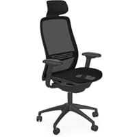 NV Posture Office Chair with Contoured Mesh Back and Seat and Adjustable Lumbar Support & Headrest Black