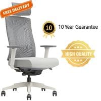 PostureX - Grey Mesh Ergonomic Office Chair with Headrest - 10 Year Warranty