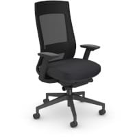 X22 Ergonomic Posture Office Chair with Mesh Back - Adjustable Lumbar Support - Seat Slide - Black