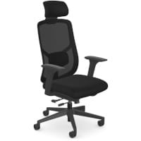X.66 Ergonomic Office Chair with Adjustable Sponge Lumbar Support With Headrest