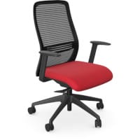 NV Ergonomic Posture Office Chair - Contoured Breathable Mesh Back - Adjustable Lumbar Support - Black Frame - Red Seat