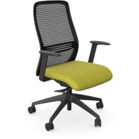 NV Ergonomic Posture Office Chair - Contoured Breathable Mesh Back - Adjustable Lumbar Support - Black Frame - Green Seat