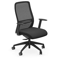 NV Ergonomic Posture Office Chair - Contoured Breathable Mesh Back - Adjustable Lumbar Support - Black Frame - Black Seat