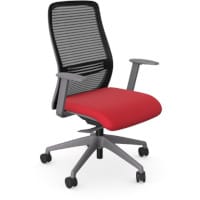 NV Ergonomic Posture Office Chair - Contoured Breathable Mesh Back - Adjustable Lumbar Support - Grey Frame - Red Seat