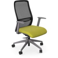 NV Ergonomic Posture Office Chair - Contoured Breathable Mesh Back - Adjustable Lumbar Support - Grey Frame - Green Seat