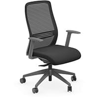 NV Ergonomic Posture Office Chair - Contoured Breathable Mesh Back - Adjustable Lumbar Support - Grey Frame - Black Seat