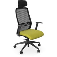 NV Ergonomic Posture Office Chair - Contoured Breathable Mesh Back - Headrest - Adjustable Lumbar Support - Black Frame - Green Seat