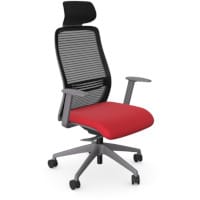 NV Ergonomic Posture Office Chair - Contoured Breathable Mesh Back - Headrest - Adjustable Lumbar Support - Grey Frame - Red Seat
