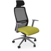NV Ergonomic Posture Office Chair - Contoured Breathable Mesh Back - Headrest - Adjustable Lumbar Support - Grey Frame - Green Seat