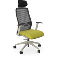 NV Ergonomic Posture Office Chair - Contoured Breathable Mesh Back - Headrest - Adjustable Lumbar Support - White Frame - Green Seat