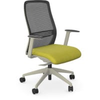 NV Ergonomic Posture Office Chair - Contoured Breathable Mesh Back - Adjustable Lumbar Support - White Frame - Green Seat