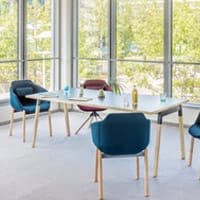 Ogw Meeting Table Black Rectangular Top Colour 08 Ral9005 With Natural Ash Wooden Legs