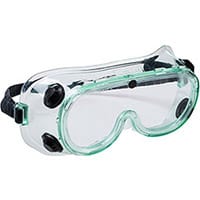 Portwest PS21 Chemical Goggle Clear
