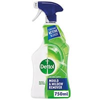 Dettol Mould and Mildew Remover 750ml 71815