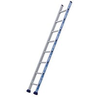 Single Platinium 300 1X8