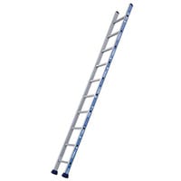 Single Platinium 300 1X10