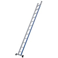 Single Platinium 300 1X12
