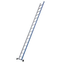 Single Platinium 300 1X16