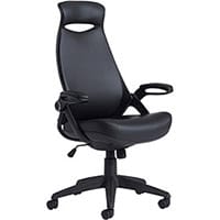 Tuscan High Back Ergonomic Manager's Chair with Headrest - Black - Unique High Back Office Chair