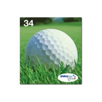 Epson DURABrite Ink Multipack 4-clr 34 EasyMail - 4-pack - 18.7 ml - black, yellow, cyan, magenta - original - ink cartridge - for WorkForce Pro WF-3720 - Epson Golf Ball