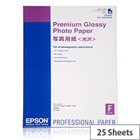 Epson Premium Glossy Photo Paper Glossy A2 (420 x 594 mm) 25 sheet(s) Photo Paper