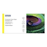 Epson Production - Polyethylene (PE) - semi-glossy - microporous - 200 micron - Roll (60.96 cm x 30 m) - 200 g/m² - 1 roll(s) photo paper - for SureColor P10000, P20000, SC-P10000, P20000, P6000, P7000, P7500, P8000, P9000, T7200