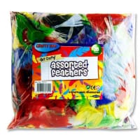 Crafty Bitz Bag Of Assorted Feathers Perfect for Craft Projects