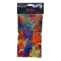 Icon Craft 18G Bag Feathers - Bold Vibrant Craft Feathers for Artistic Creations