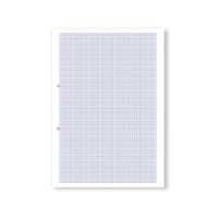 Hamelin Loose Leaf Graph Paper 10mm 1000 Page Punched 2 Hole A4 (Pack of 5) 100104375