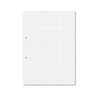 Hamelin Loose Leaf Paper 5mm Squared 1000 Page Punched 2 Hole A4 (Pack of 5) 100103318